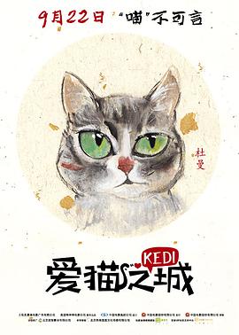 爱猫之城（普通话）